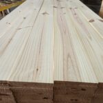 ASUN - APG 8.8 (10)